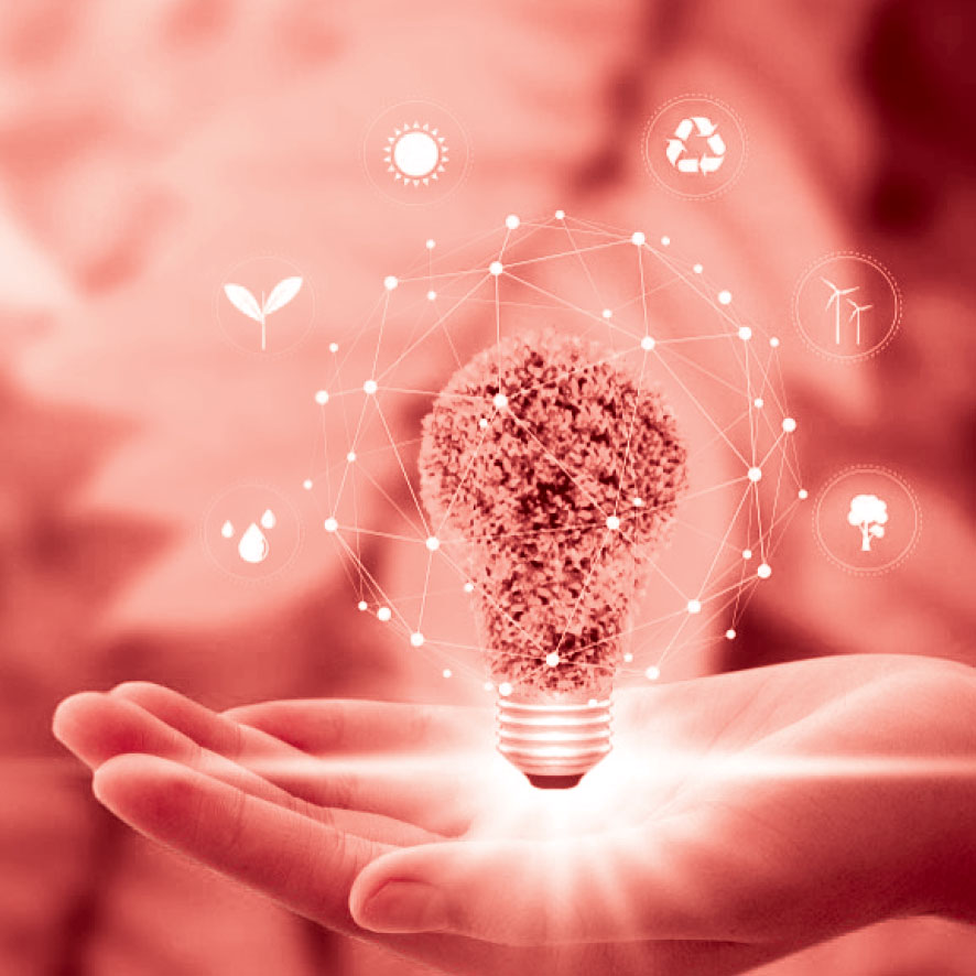 lightbulb lightbulb